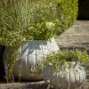 Cox & Cox Plant Pots & Troughs<Two Flourette Planters