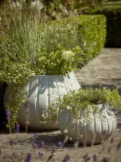 Cox & Cox Plant Pots & Troughs<Two Flourette Planters