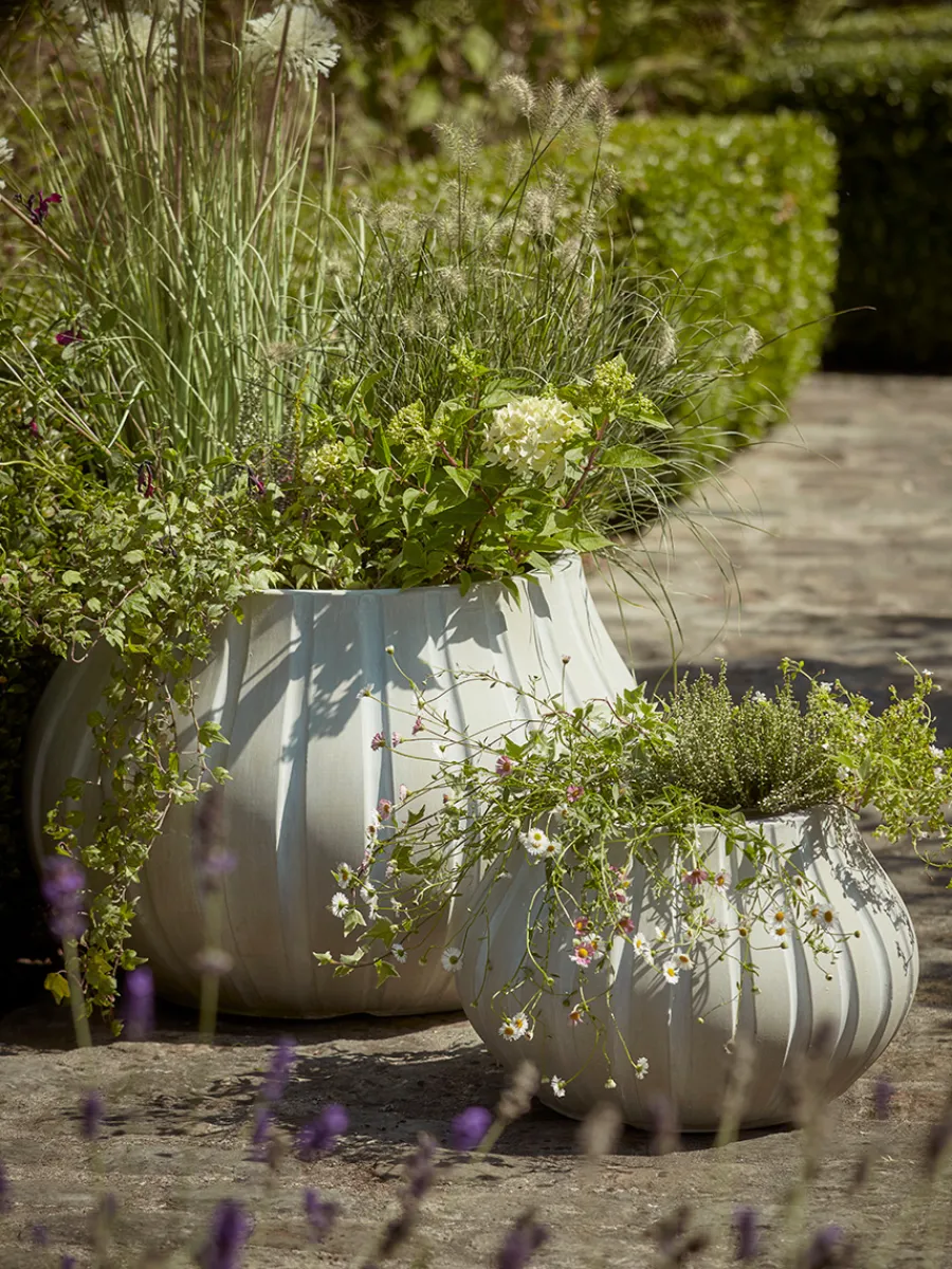 Cox & Cox Plant Pots & Troughs<Two Flourette Planters