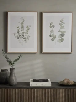 Cox & Cox Wall Art<Two Framed Eucalyptus Prints