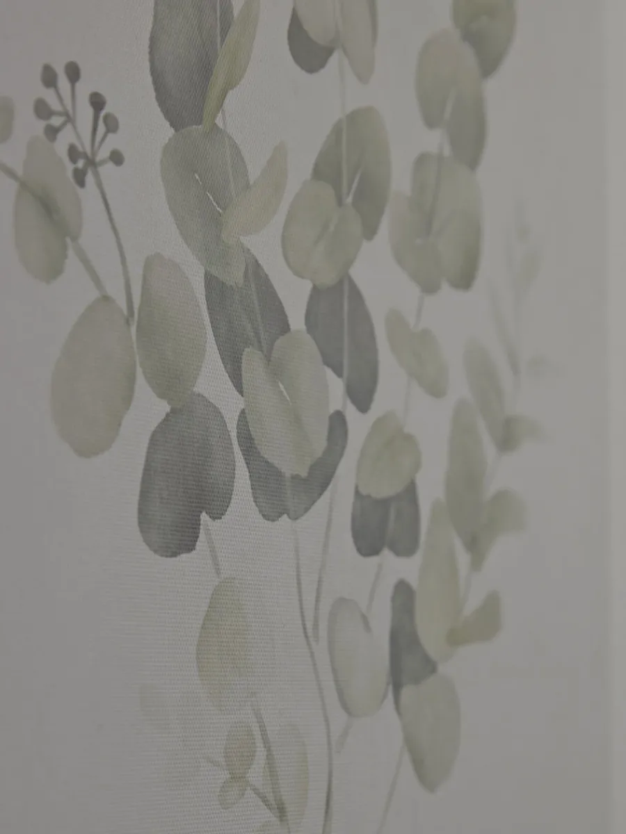 Cox & Cox Wall Art<Two Framed Eucalyptus Prints