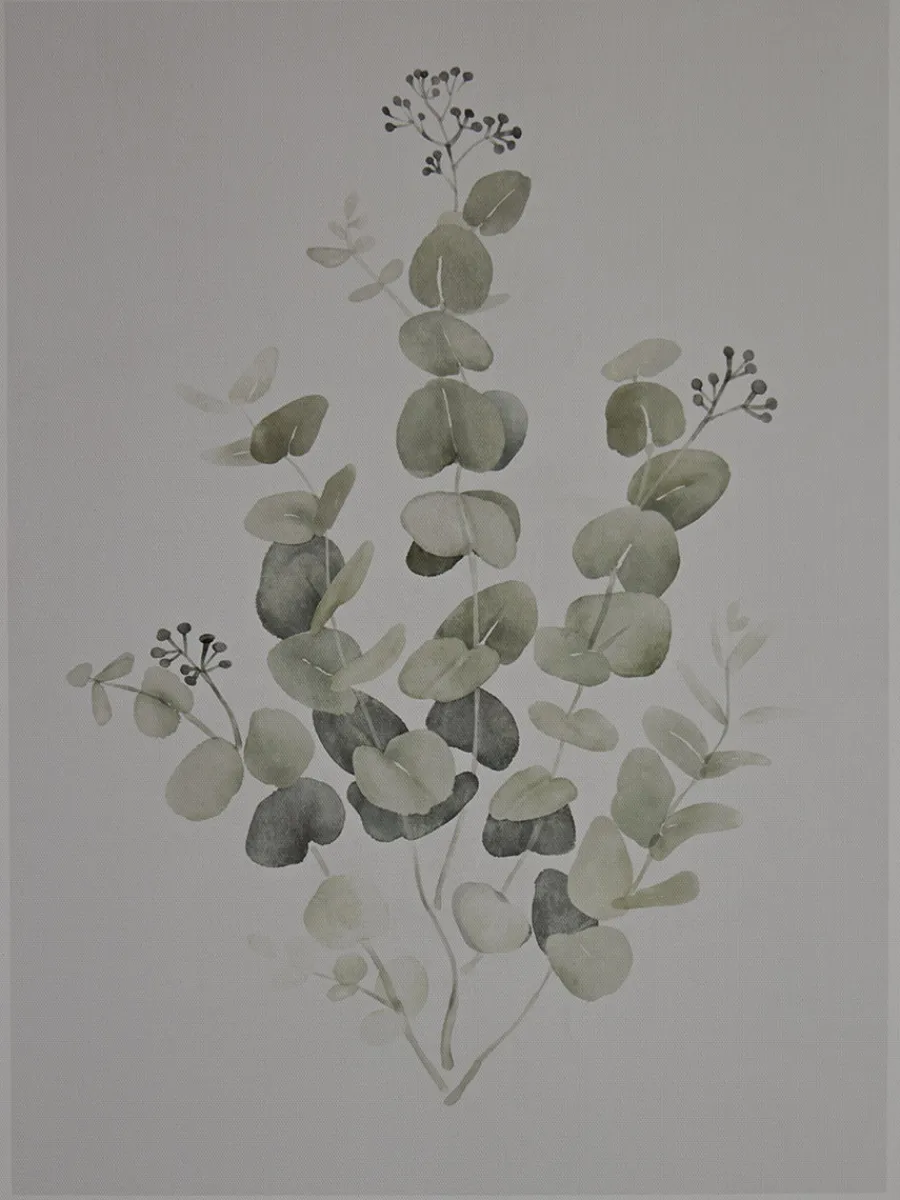 Cox & Cox Wall Art<Two Framed Eucalyptus Prints