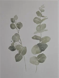 Cox & Cox Wall Art<Two Framed Eucalyptus Prints