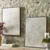 Cox & Cox Wall Art<Two Framed Grass Seed Canvases