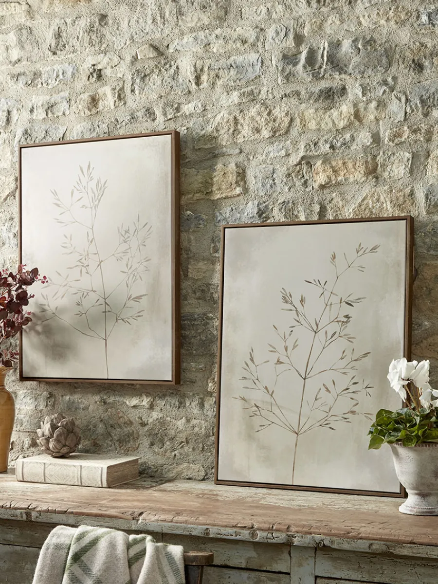 Cox & Cox Wall Art<Two Framed Grass Seed Canvases