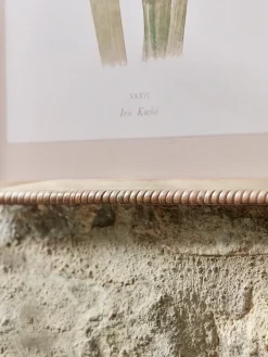 Cox & Cox Wall Art<Two Iris Framed Prints