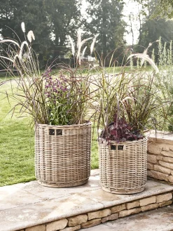 Cox & Cox Plant Pots & Troughs<Two Round Rattan Planters