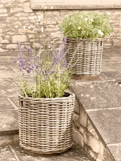 Cox & Cox Plant Pots & Troughs<Two Round Rattan Planters