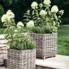 Cox & Cox Plant Pots & Troughs<Two Square Rattan Planters