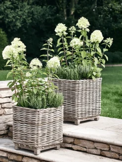 Cox & Cox Plant Pots & Troughs<Two Square Rattan Planters