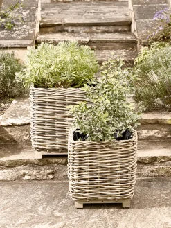 Cox & Cox Plant Pots & Troughs<Two Square Rattan Planters